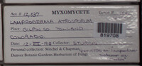 Image Associated With the Occurence